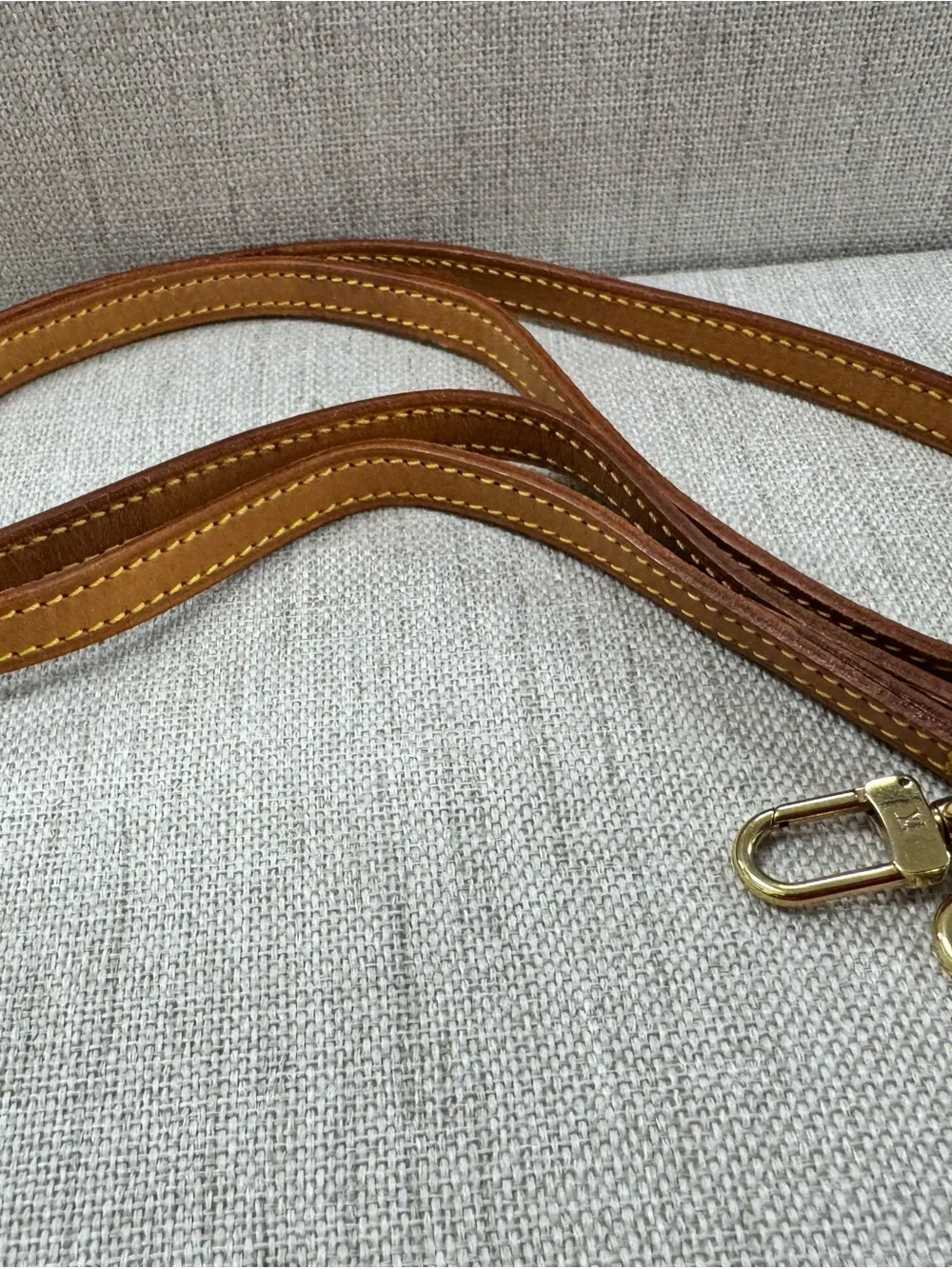 Louis Vuitton iconic louis